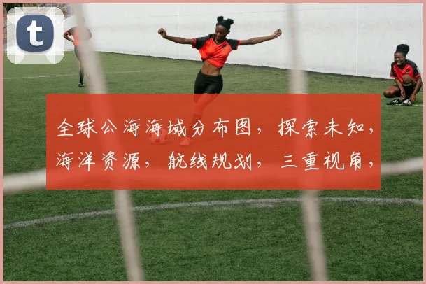 全球公海海域分布图，探索未知，海洋资源，航线规划，三重视角，一图览尽。