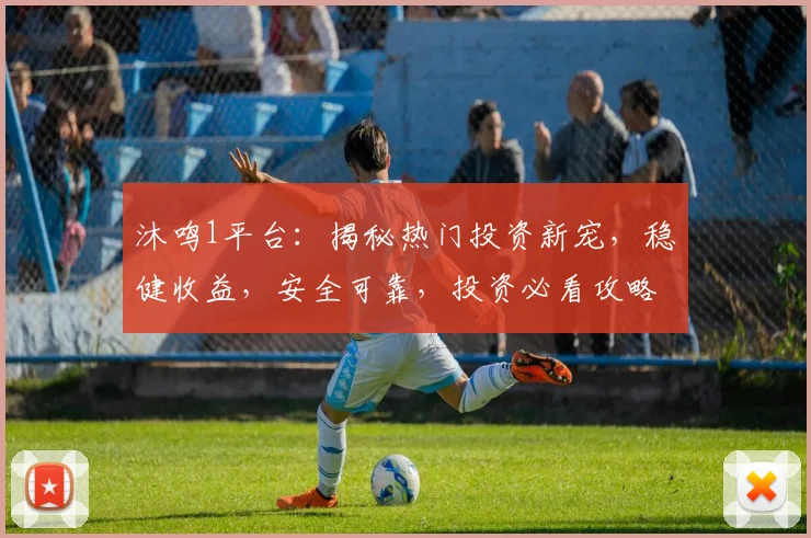 沐鸣1平台：揭秘热门投资新宠，稳健收益，安全可靠，投资必看攻略，不容错过