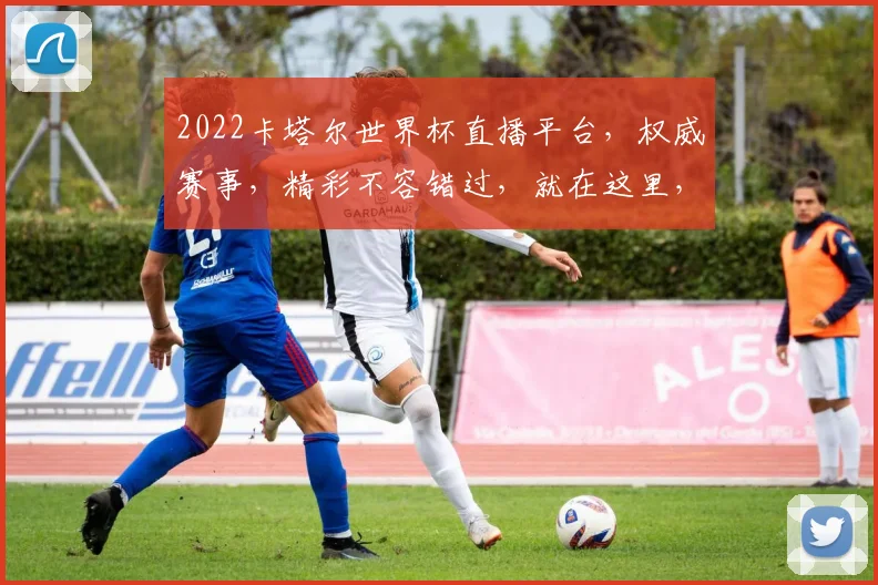 2022卡塔尔世界杯直播平台，权威赛事，精彩不容错过，就在这里，两场精彩赛事，不容错过