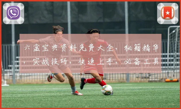六盒宝典资料免费大全，秘籍精华，实战技巧，快速上手，必备工具，一网打尽