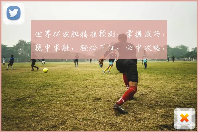 世界杯波胆精准预测，掌握技巧，稳中求胜，轻松下注，必中攻略，两步走